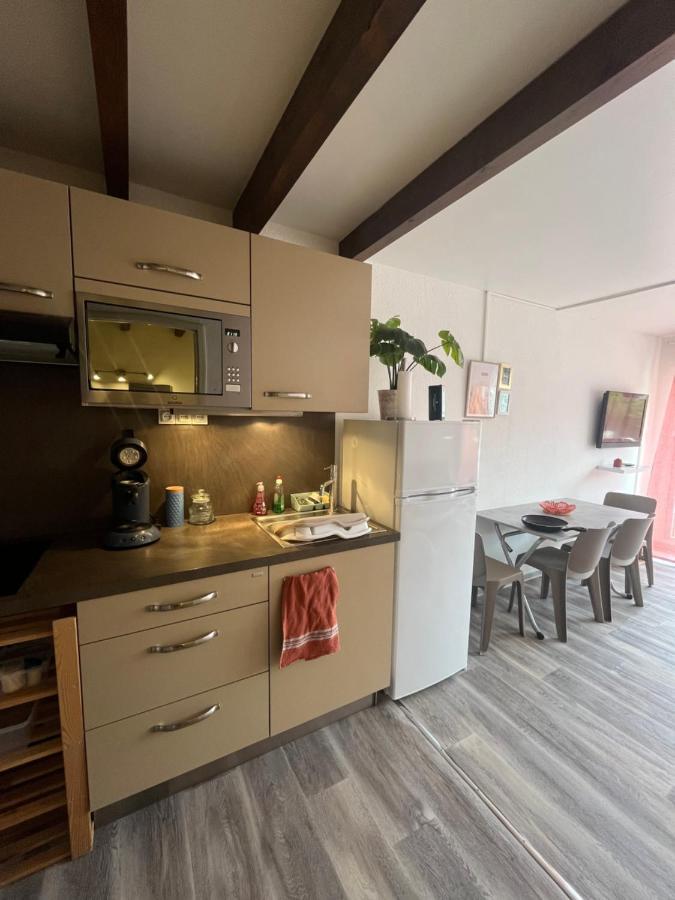 Appartement Argeles-Sur-Mer Avec Piscine A 500M De La Mer 外观 照片